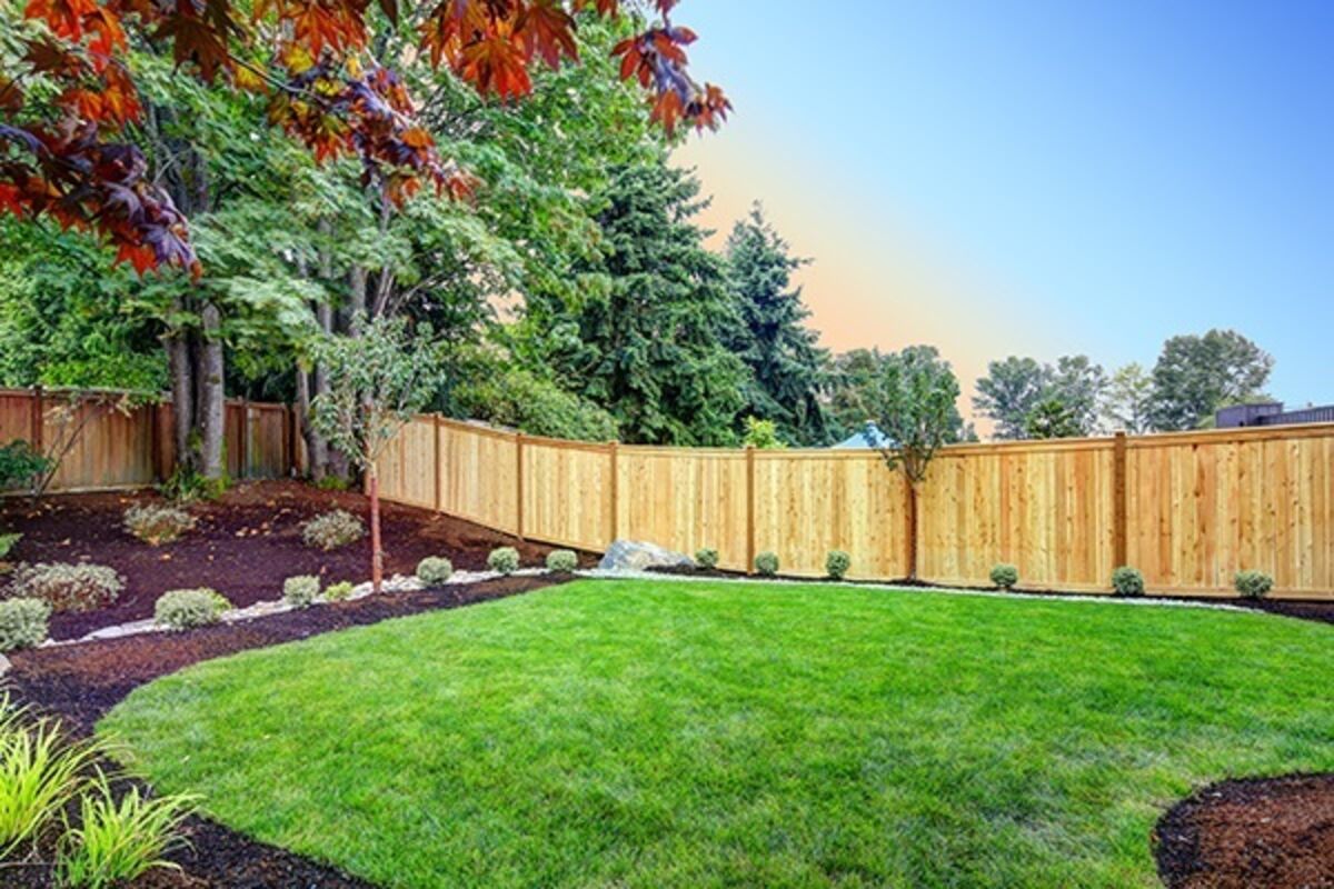 Transform Your Garden: The Right Fence Changes Everything